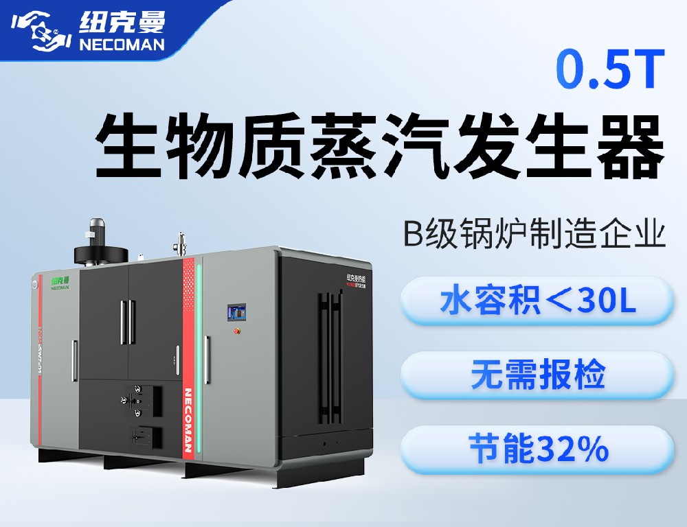 500kg 生物質(zhì)蒸汽發(fā)生器